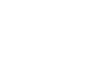 Xevagonet